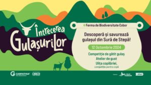 Întrecerea gulașurilor | MyTex.ro