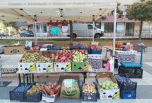 BRAȘOV | Piață volantă în Răcădău, mâine 5 Festin la Restaurantul Panoramic | MyTex.ro
