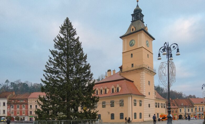 Crăciun 2024 Brașov. Bradul a fost amplasat în Piața Sfatului / În așteptarea aprinderii luminițelor / Deschiderea de la Sibiu, în această săptămână 3 Crăciun 2024 Brașov | MyTex.ro