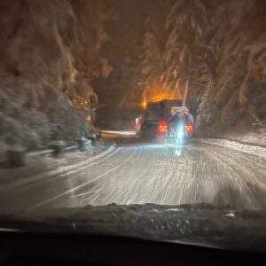șoferii | MyTex.ro