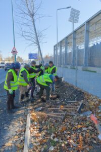 Primăria a început campania plantărilor de toamnă | MyTex.ro