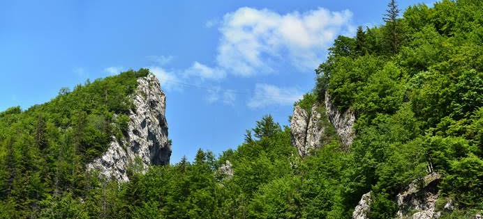 Cheile Râșnoavei: destinația perfectă pentru aventură și relaxare 11 | MyTex.ro