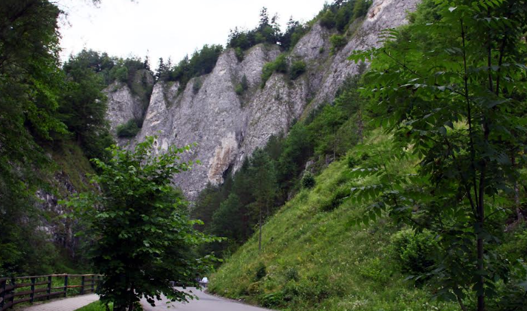 Cheile Râșnoavei: destinația perfectă pentru aventură și relaxare 16 | MyTex.ro