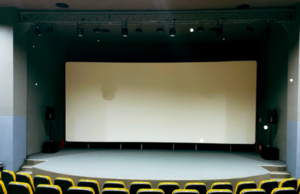 Concert de Crăciun în întuneric | MyTex.ro