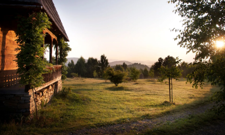 Domeniu de 94 de hectare | MyTex.ro