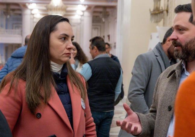 Despre POT și ce înseamnă să fii român... / Cine este Anamaria Gavrilă 3 Despre POT | MyTex.ro