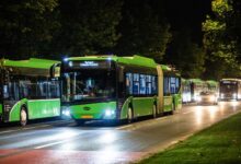 Alegeri | MyTex.ro