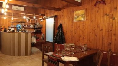 George Scripcaru | MyTex.ro