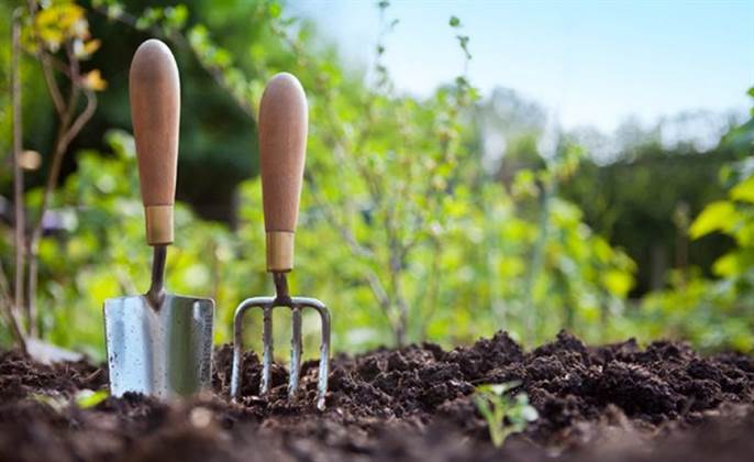 Cele mai relaxante hobby-uri pentru reducerea stresului 12 Cele mai relaxante hobby-uri | MyTex.ro