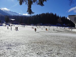 Furnicar în Poiana Brașov | MyTex.ro