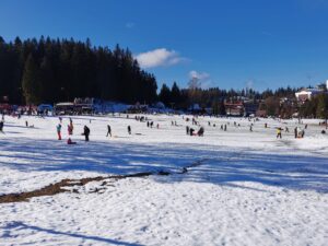 Furnicar în Poiana Brașov | MyTex.ro