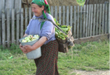 România comunelor-fantomă: Localitatea cu 500 de oameni care înghite un milion de lei pe salarii. Cum plătește statul din banii noștri primării fără cetățeni 3 | MyTex.ro