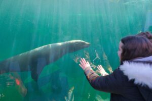 Premieră la Grădina Zoologică Brașov | MyTex.ro