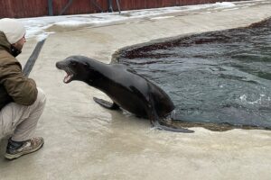 Premieră la Grădina Zoologică Brașov | MyTex.ro