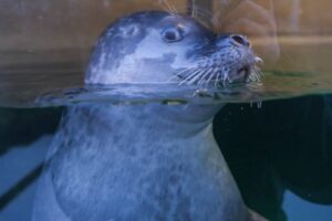 Premieră la Grădina Zoologică Brașov | MyTex.ro