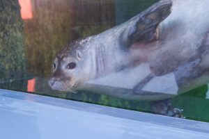 Premieră la Grădina Zoologică Brașov | MyTex.ro