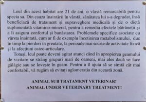 Zoo Brașov | MyTex.ro