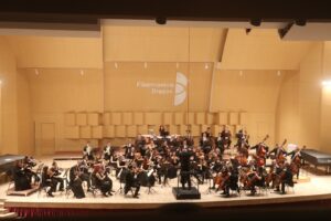Concert sold out la Patria | MyTex.ro