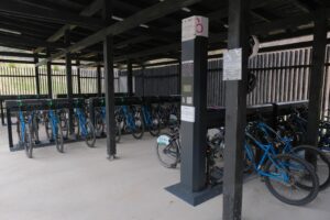 Parcul La Iepure a intrat în reparații | MyTex.ro