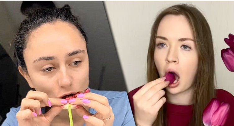 Ultimul trend pe TikTok - tinere care mănâncă lalele 7 Ultimul trend pe TikTok | MyTex.ro
