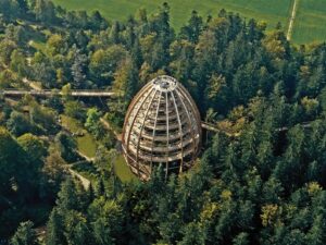 Potecă în vârful arborilor | MyTex.ro