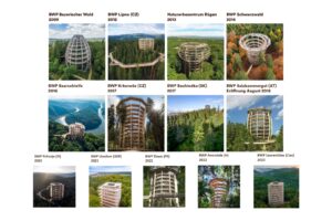 Potecă în vârful arborilor | MyTex.ro