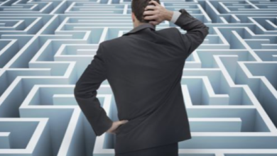 strategii | MyTex.ro