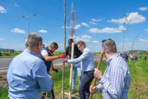 1.000 de arbori și arbuști pentru un kilometru de centură verde a Brașovului | MyTex.ro
