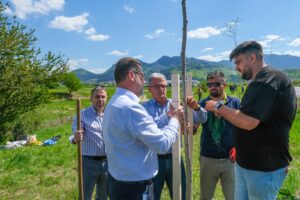 1.000 de arbori și arbuști pentru un kilometru de centură verde a Brașovului | MyTex.ro