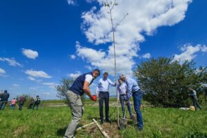 1.000 de arbori și arbuști pentru un kilometru de centură verde a Brașovului | MyTex.ro