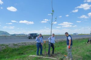 1.000 de arbori și arbuști pentru un kilometru de centură verde a Brașovului | MyTex.ro