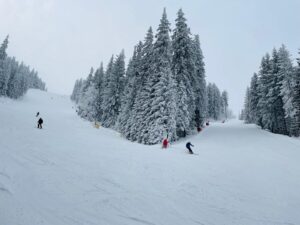 Cel mai bun sezon de schi din ultimii ani | MyTex.ro