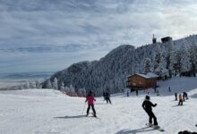 Linia RATBV | MyTex.ro