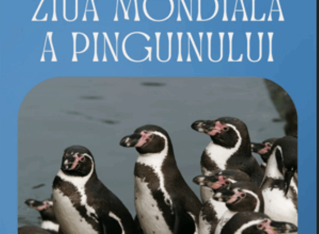 Eveniment special la Zoo Brașov 3 Eveniment special La Zoo Brașov | MyTex.ro