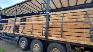 Autocamion | MyTex.ro