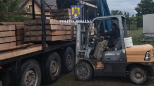 Autocamion | MyTex.ro