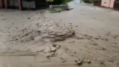 Inundații | MyTex.ro