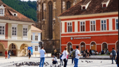 Analiză Storia: Brașov | MyTex.ro