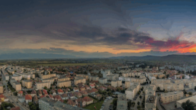 Analiză Storia: Brașov | MyTex.ro