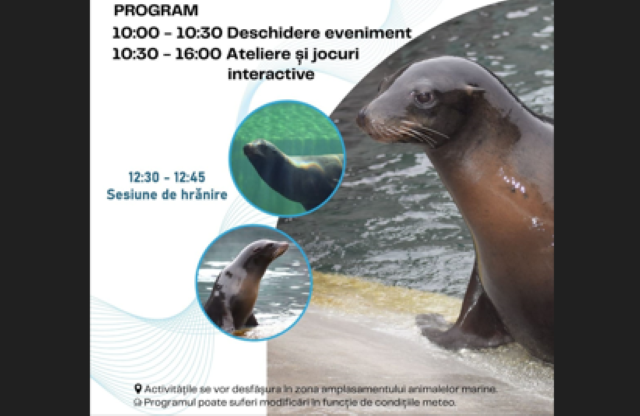 Ziua Mondială a Leilor de Mare la Zoo Brașov 3 Ziua Mondială a Leilor de Mare la Zoo Brașov | MyTex.ro