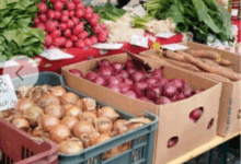 SERVICIUL PUBLIC ADMINISTRARE PIEȚE BRAȘOV - ANUNŢ LICITAŢIE PUBLICĂ CU STRIGARE 8 | MyTex.ro