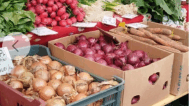 SERVICIUL PUBLIC ADMINISTRARE PIEȚE BRAȘOV - ANUNŢ LICITAŢIE PUBLICĂ CU STRIGARE 15 Parcare gratuită lângă Primăria Brașov | MyTex.ro