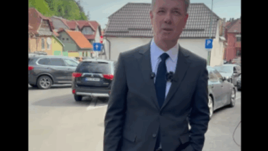 George Scripcaru | MyTex.ro