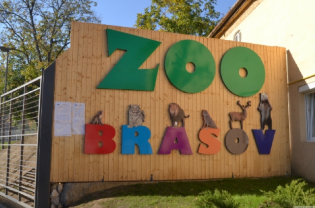 ZOO