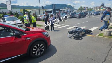 De unde cumpără brașovenii pepeni | MyTex.ro