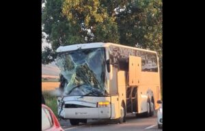 accidente | MyTex.ro