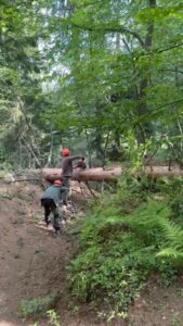 Se deschide Bike-park Postăvarul | MyTex.ro