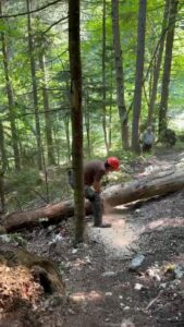 Se deschide Bike-park Postăvarul | MyTex.ro