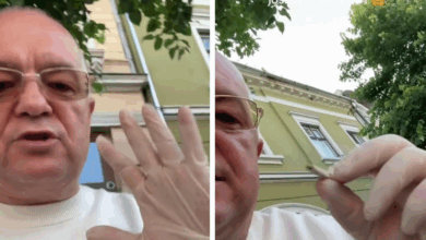 Primăria | MyTex.ro