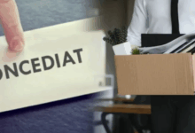 Top 10 firme din Braşov | MyTex.ro